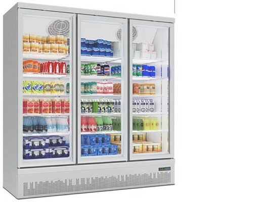 3 Glas 1250L van de deur het Rechte Diepvriezer voor Roomijs en Bevroren Voedsel