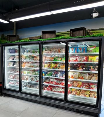 De Commerciële Diepvriezer met alle accomodatie van de Glasdeur