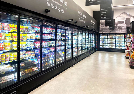 Van de de Deurdiepvriezer van het supermarkt Rechte Glas van de het Glasdeur Koelere 3/4/5/6 Met alle accomodatie de Deuren