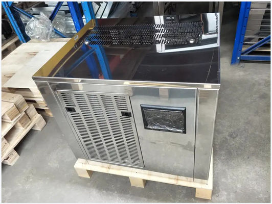 Van het de Vlokijs van de vissenmarkt van de de Maker de Grote Opslag Steriele Stille Energie - besparing