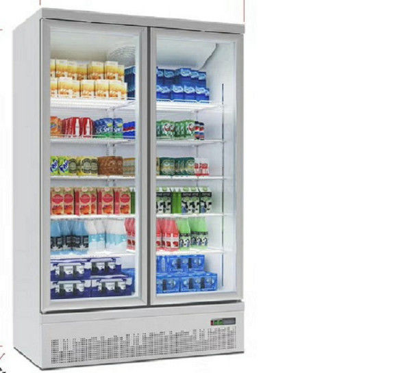 704L 2 de Deurdiepvriezer van het Deur Rechte Glas Luchtkoeling voor roomijs en bevroren voedsel