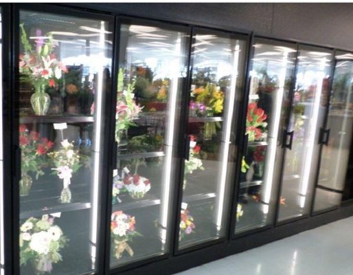 Bloemenvertoningsgang in Koelersgang in het gekleurde staal van de glasdeur koeler