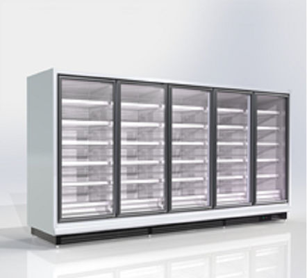 Recht de Diepvriezer van de het Glasdeur van R290 Commercieel Luchtkoelings220v ver type